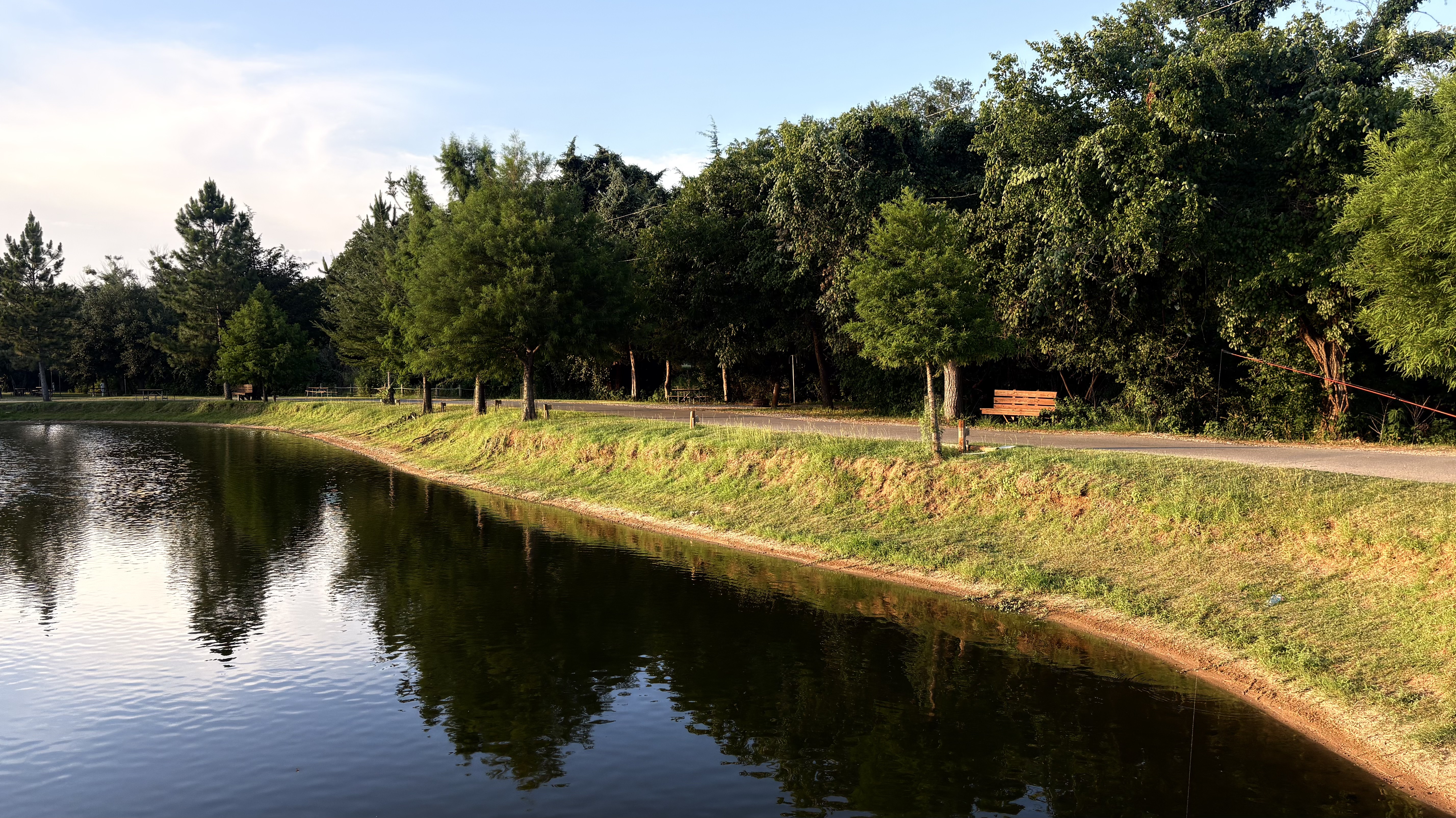 Portfolio image 5
