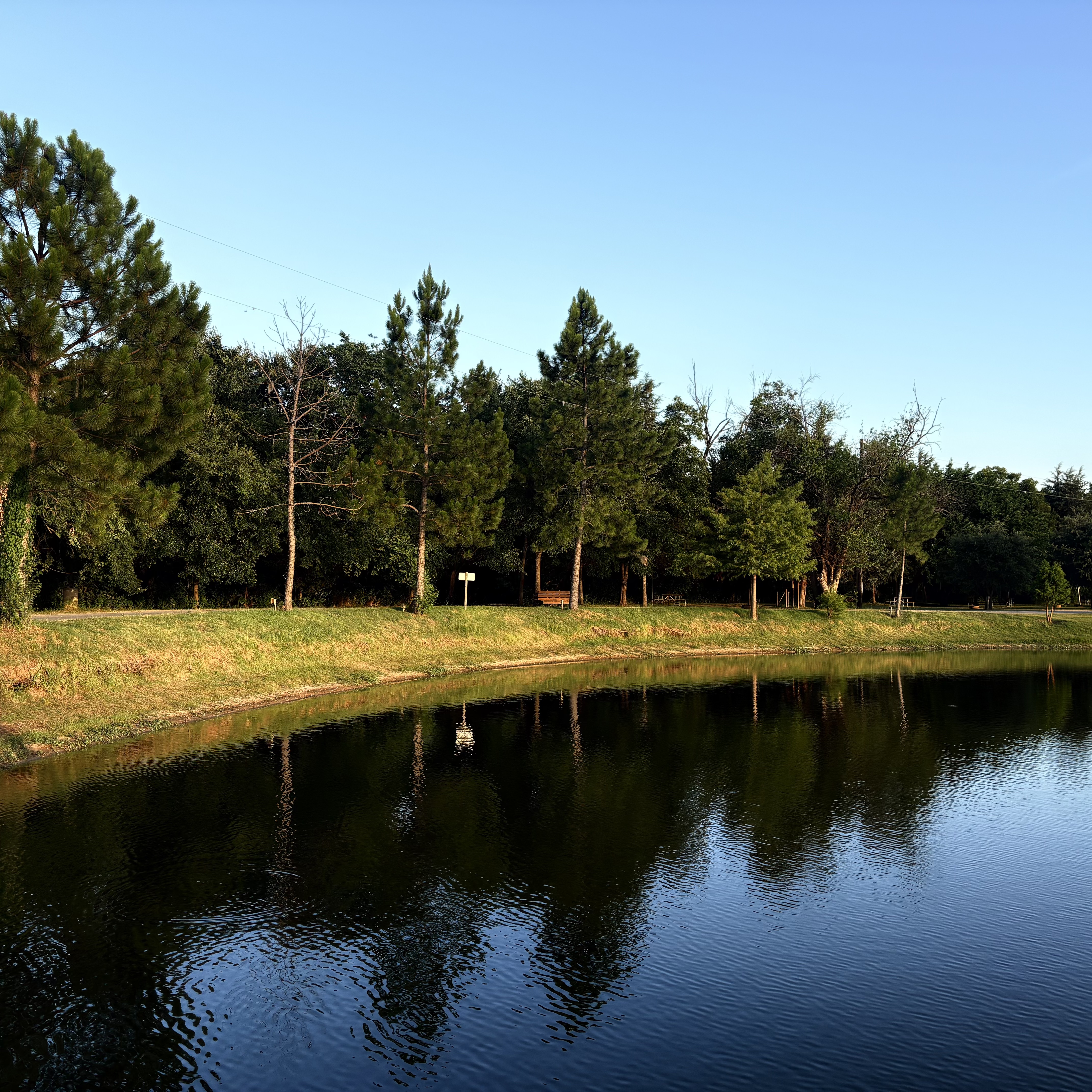 Portfolio image 6