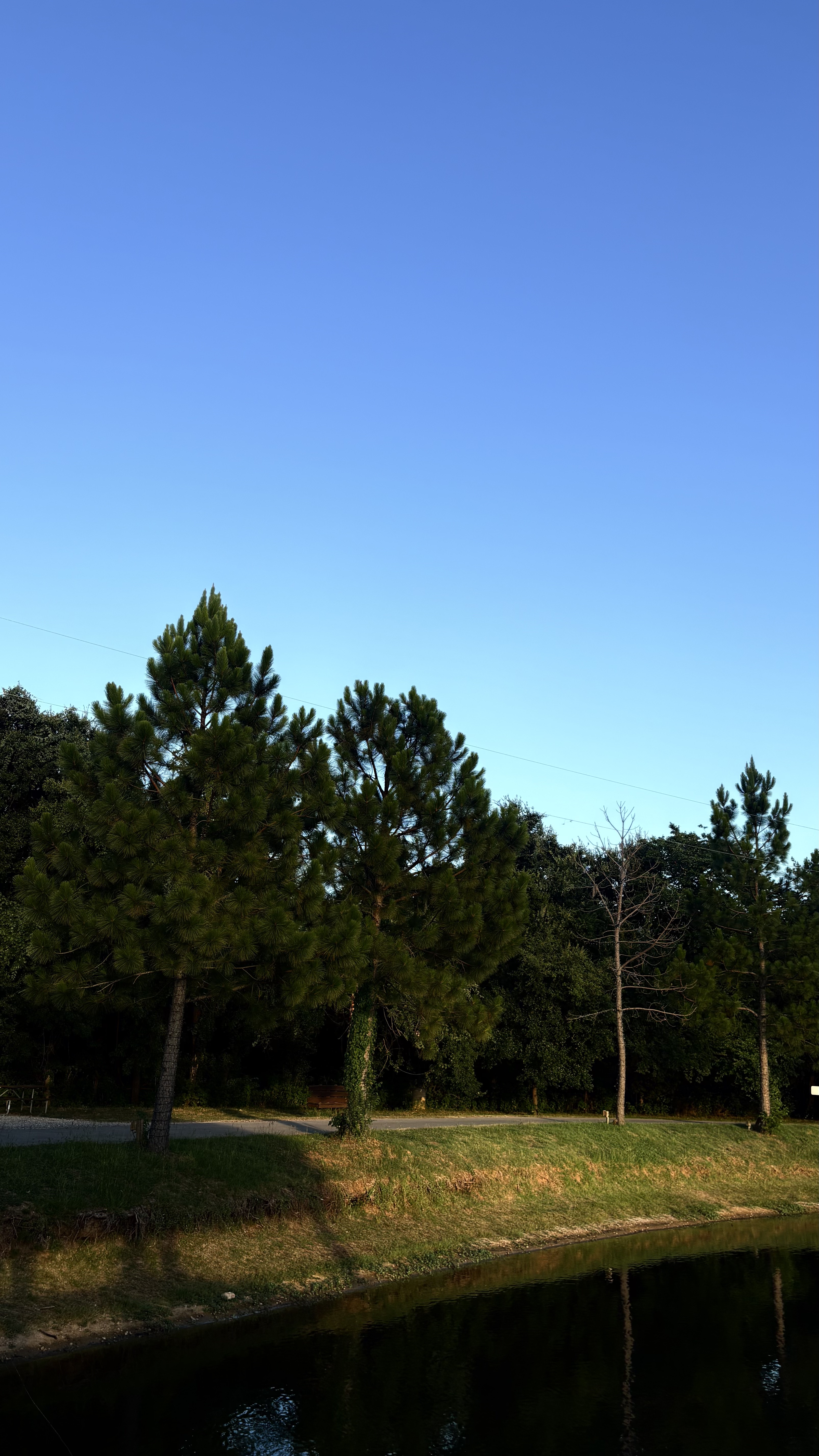 Portfolio image 7