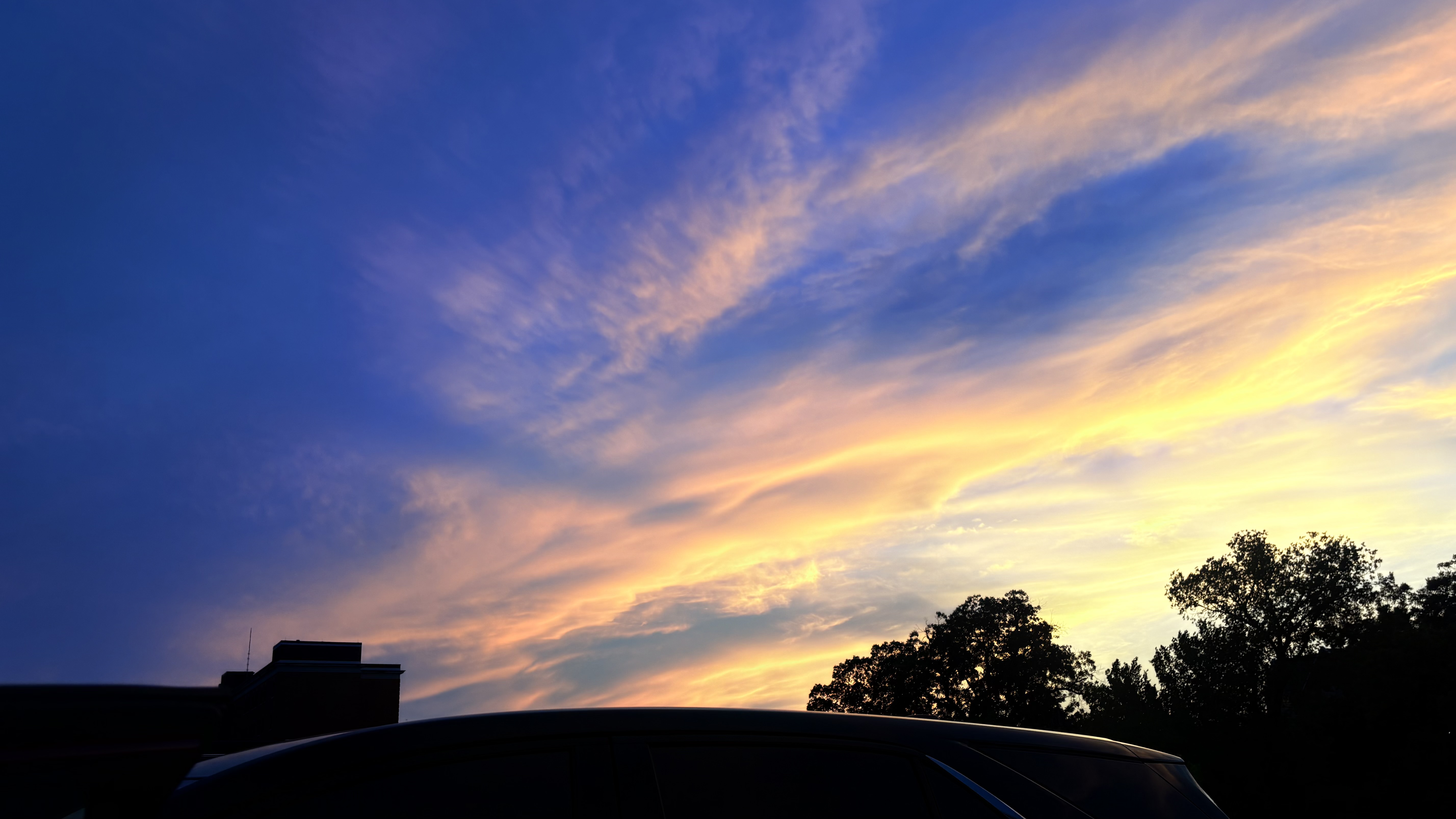 Portfolio image 13